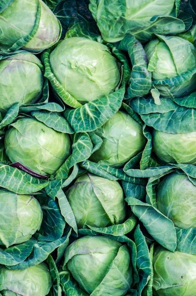 Cabbage / Banda