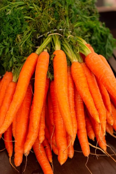 Carrot / Gajar