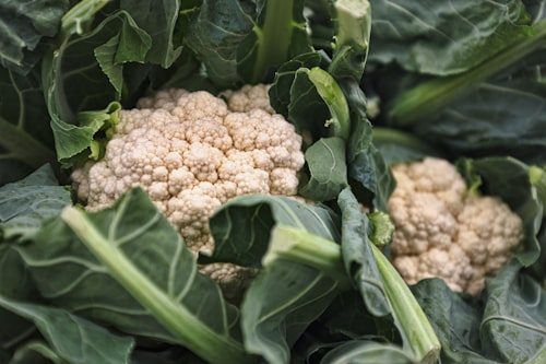 Cauliflower / Kauli