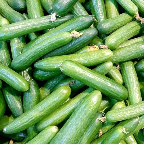 Cucumber / Bhaktapure Kakro