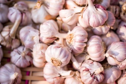 Garlic / Lasun