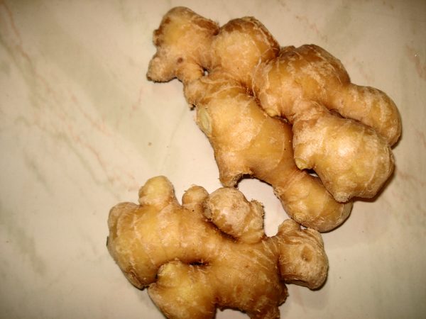 Ginger / Aduwa