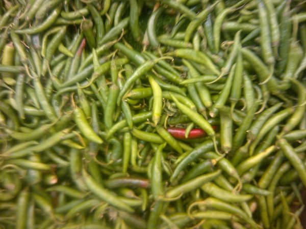 Green Chilly / Hariyo Khursani