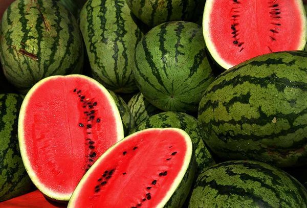 Watermelon / Tarbuja
