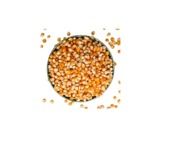 Murali Makai (Popcorn Maize)