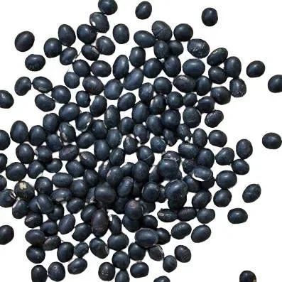 Black Bhatmas Geda